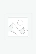 African-American Studies